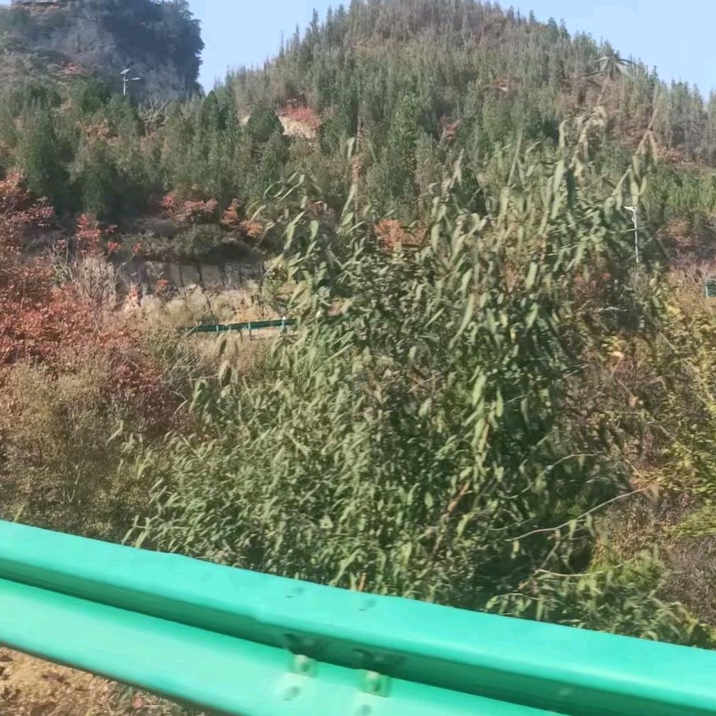 平安是福🍎🍎🍎