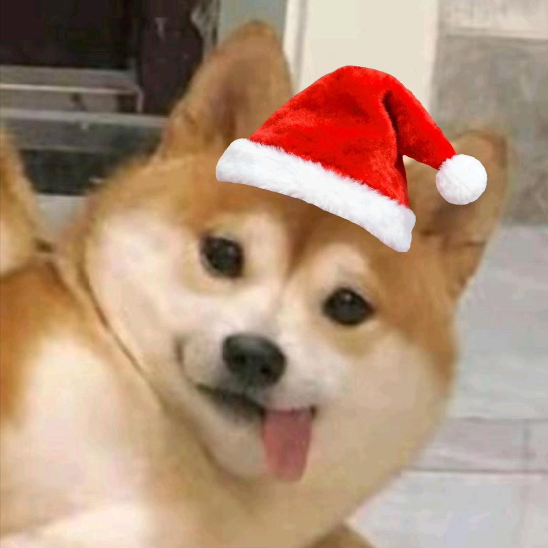 沈千万