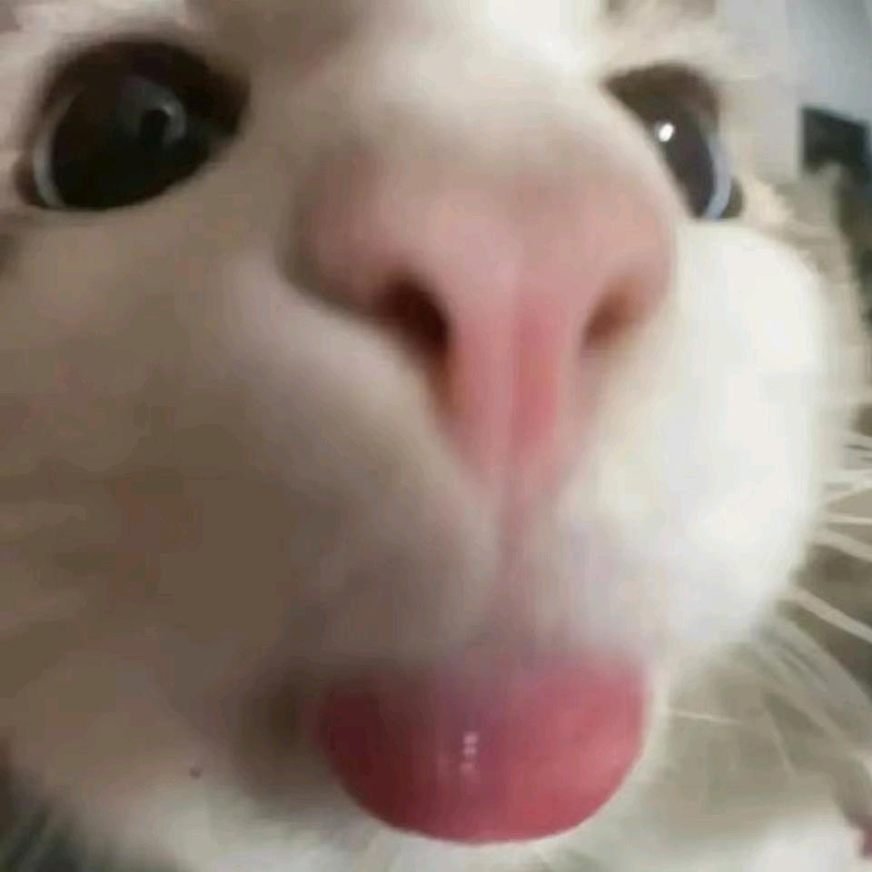 神经志