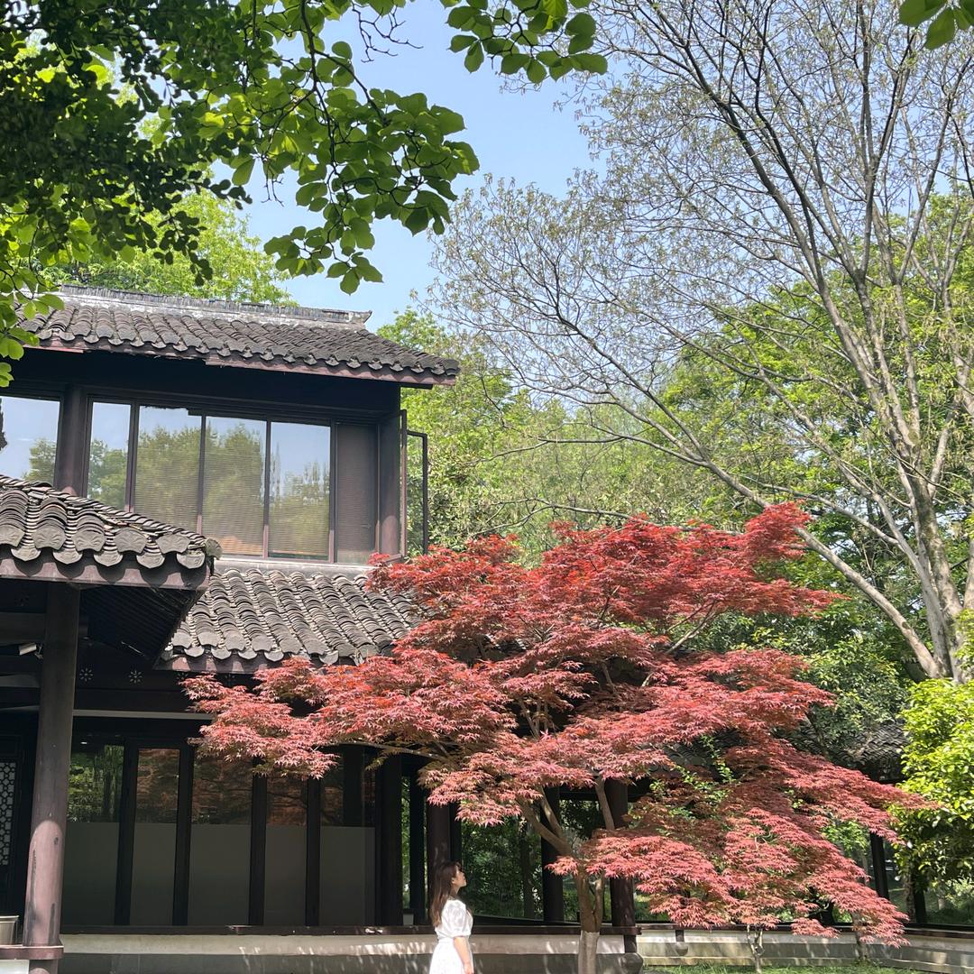 静博士顾问富立