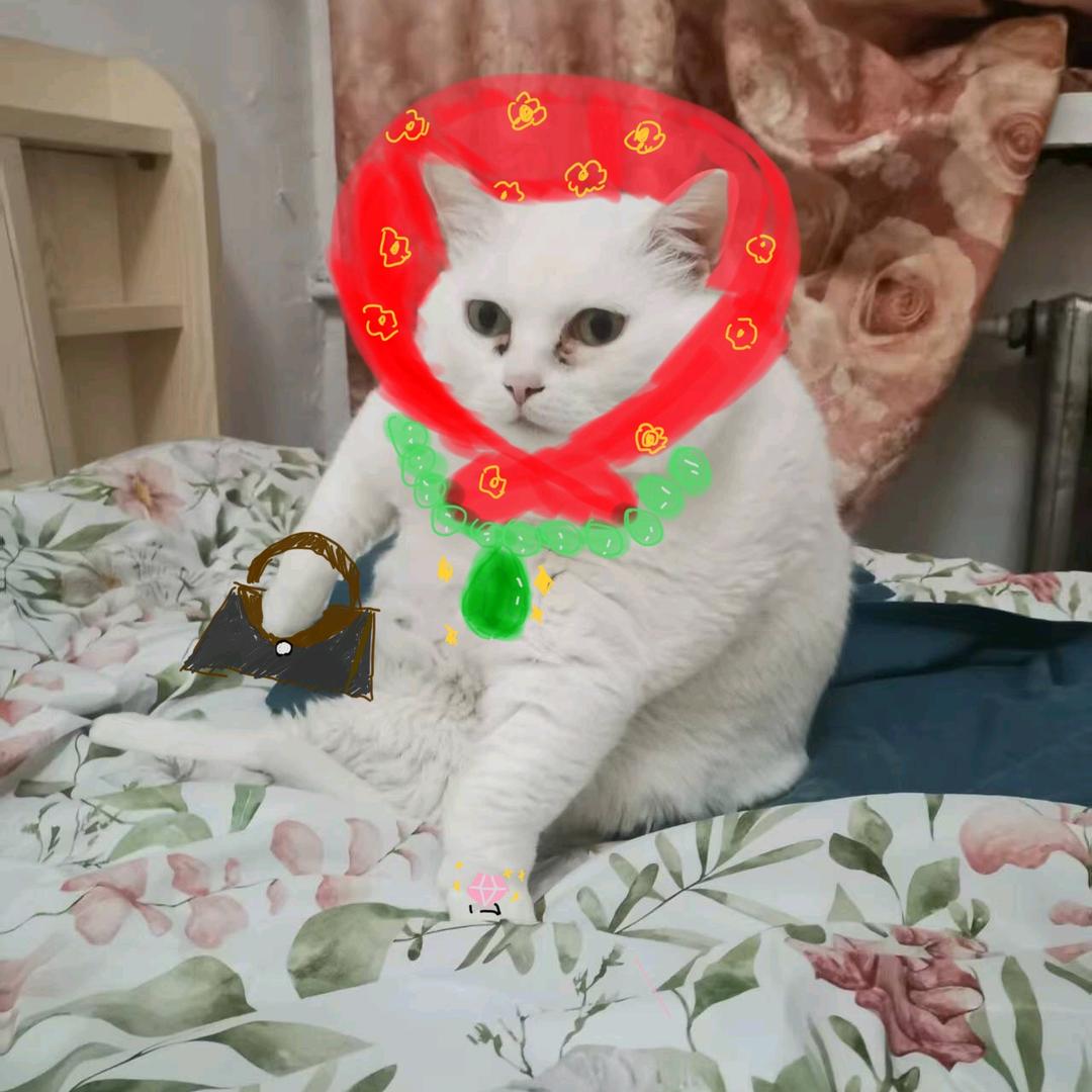 如意本意