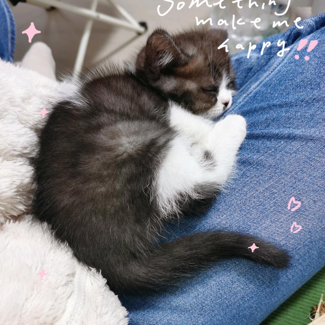 呱唧小葫芦