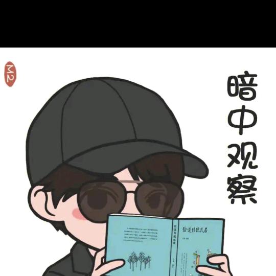 🌈👀观察员👣🤡（胖矬穷版）