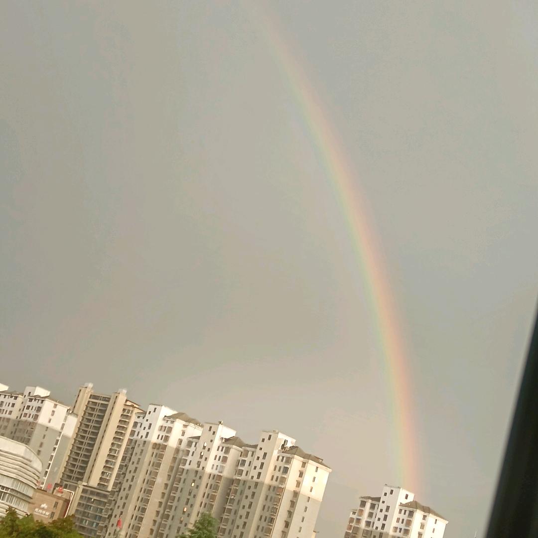 桐宝