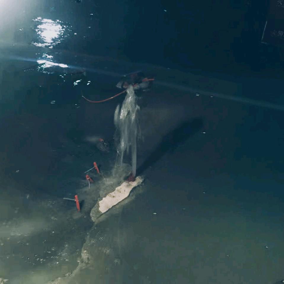 房屋修缮（防水补漏维修）