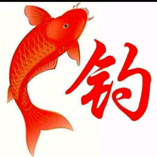 晨晨《户外野钓🎣》