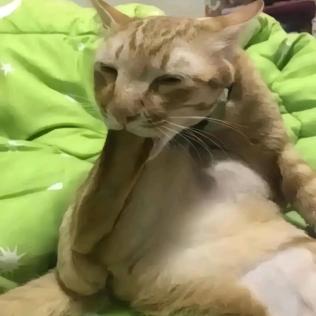 来姨妈骗男友是处