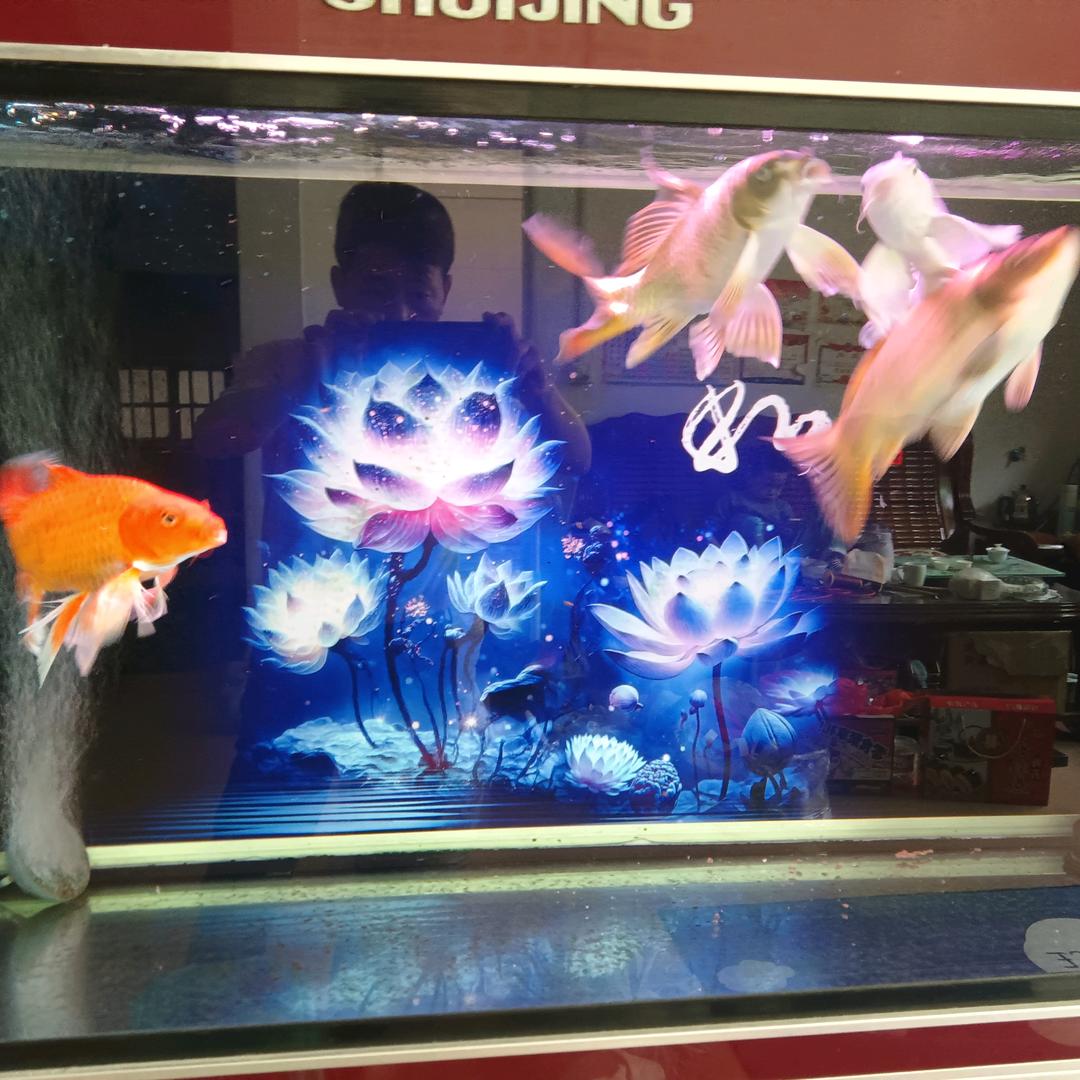 …随缘…