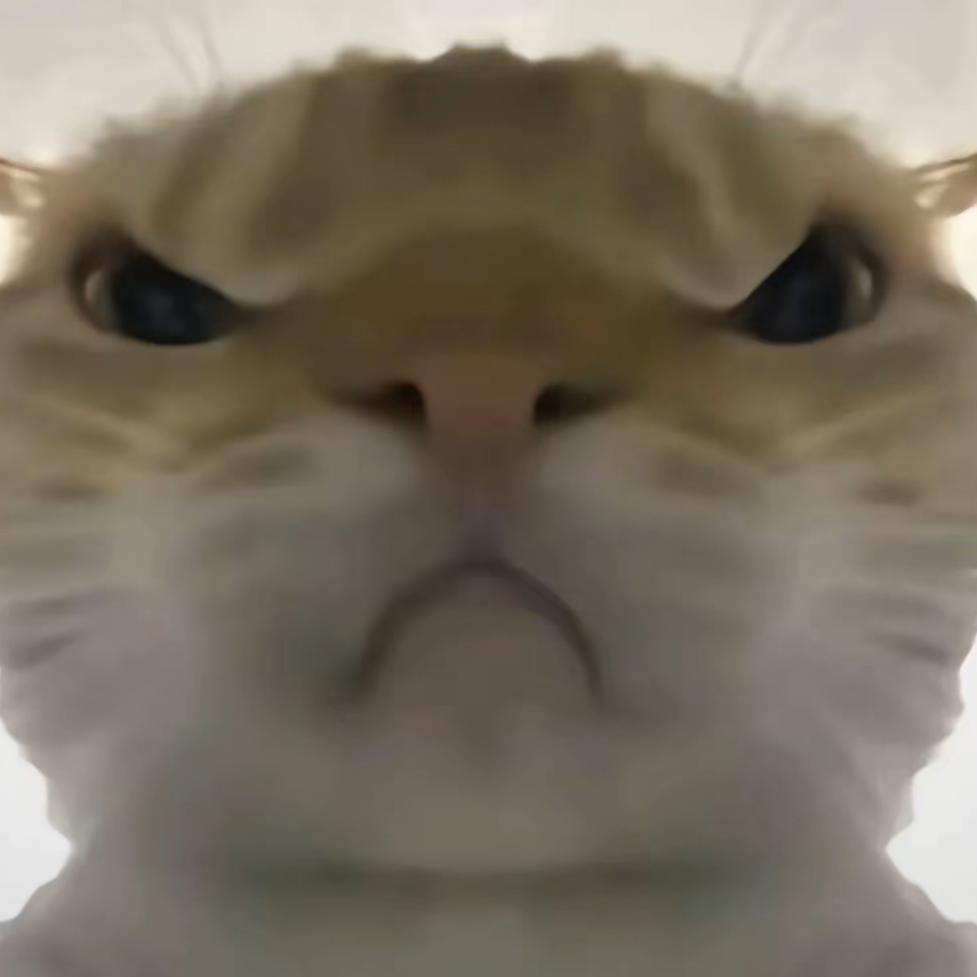 可怜的鼠鼠(三角洲代肝)