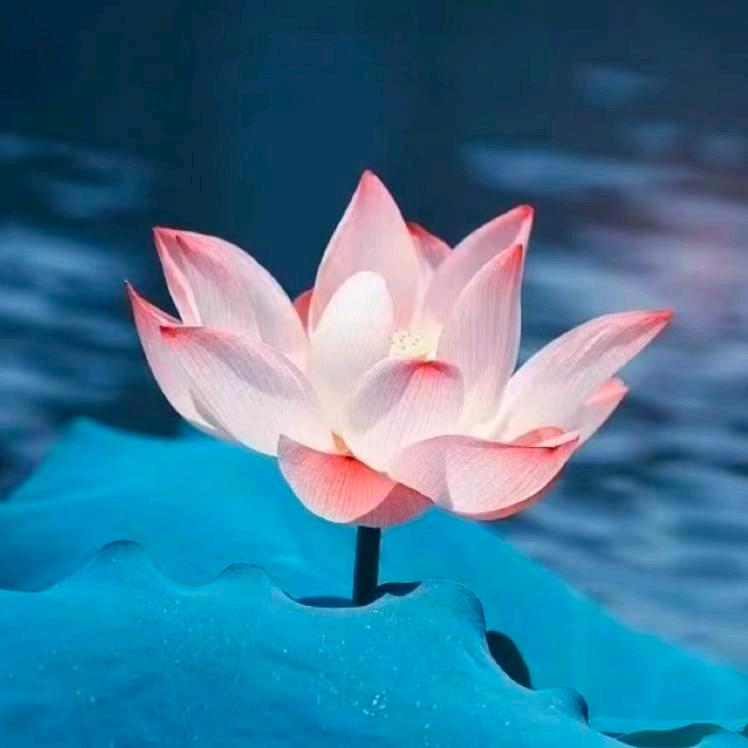一生平安！