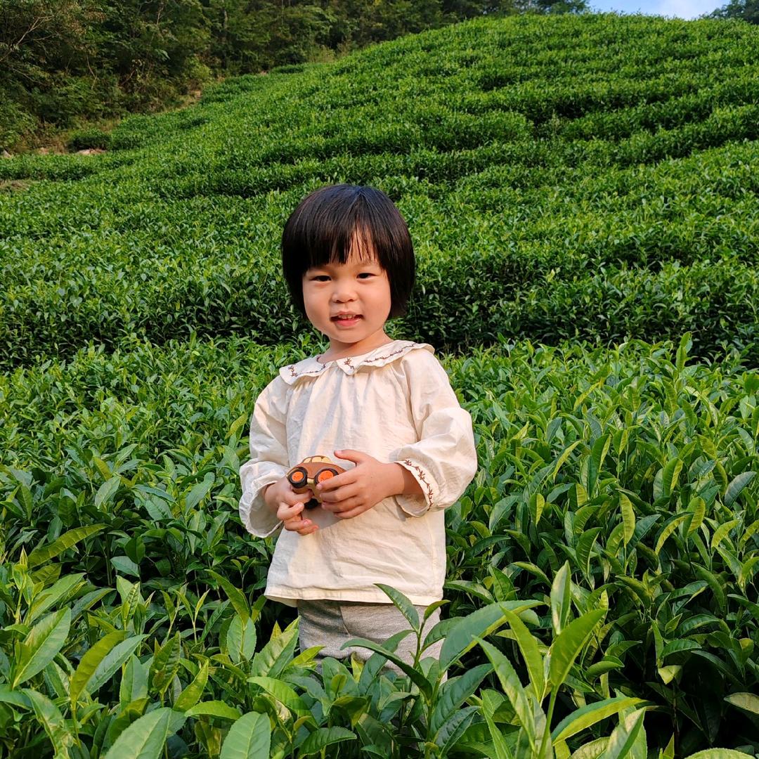 混世小茶农