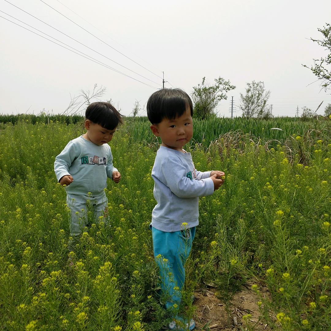 阳光宝贝瑞嘉甄