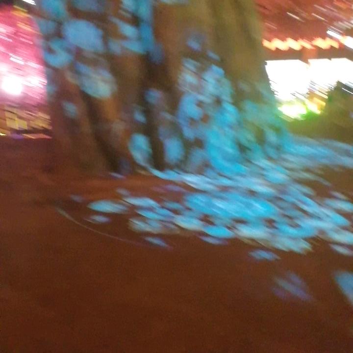 李广戌