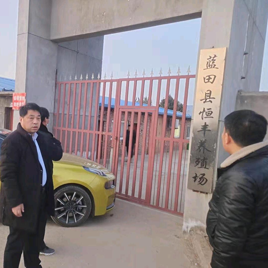 现在