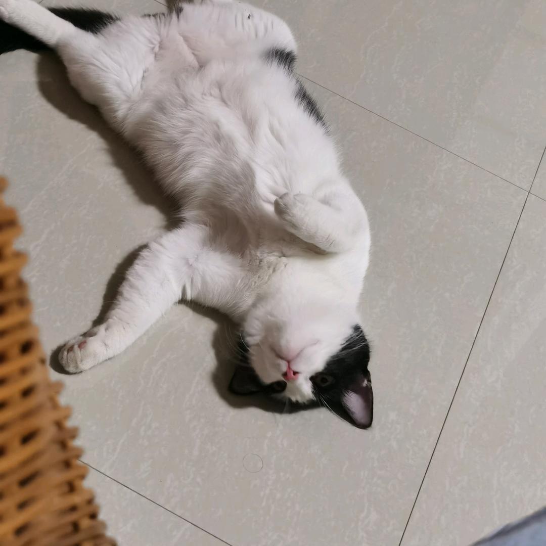 略