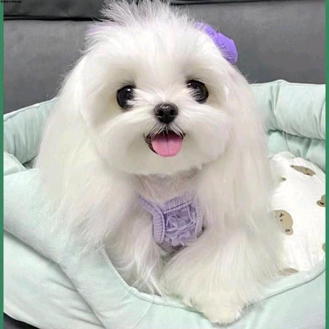 奔跑的蜗牛，往往很快