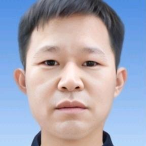 橄榄树
