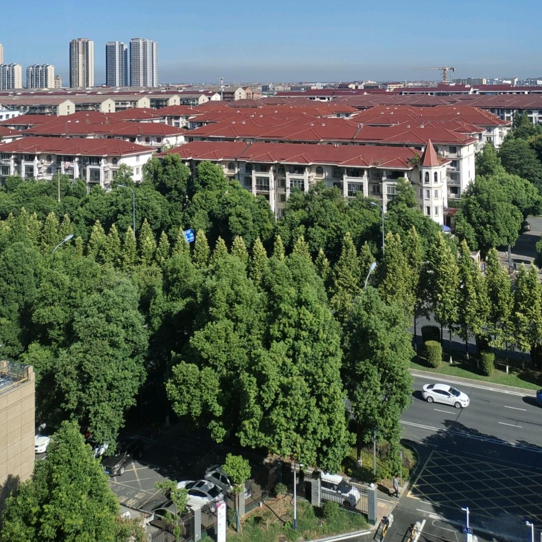 灵魂酥脆土豆丝饼