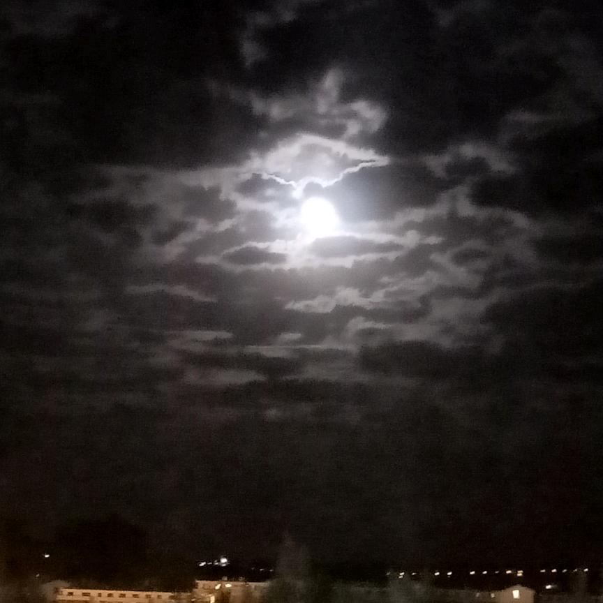 COLDMOON