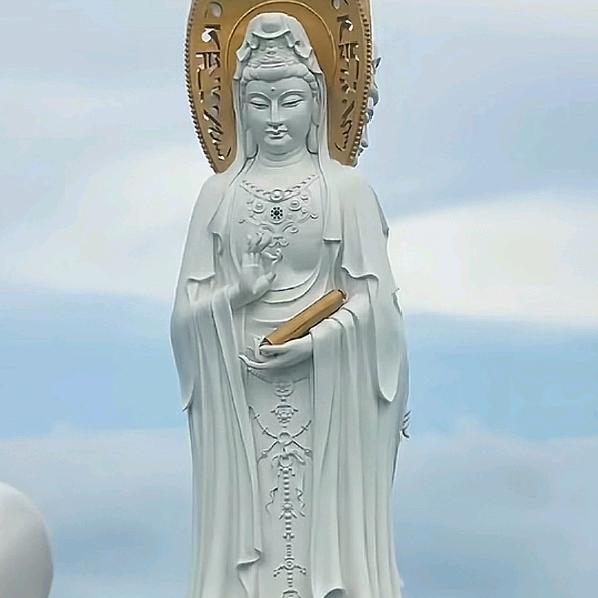 ☞鳄鱼的眼泪☞