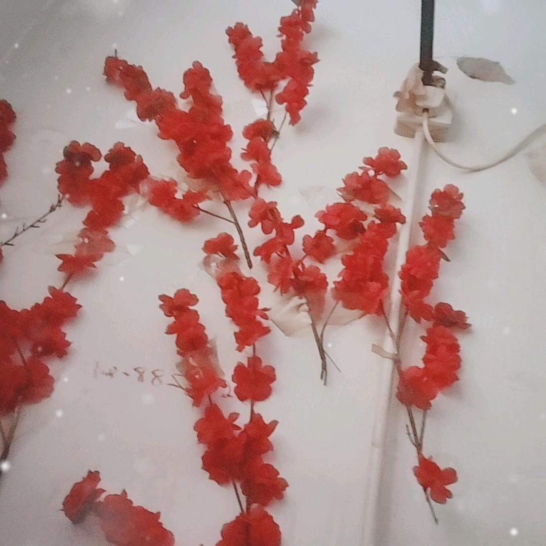 好好珍惜每一天，人生短短几十年