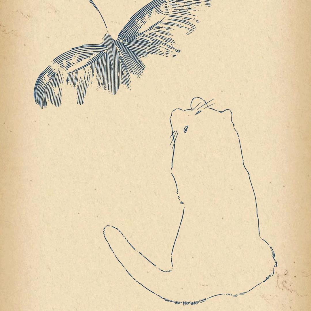 阿鹏
