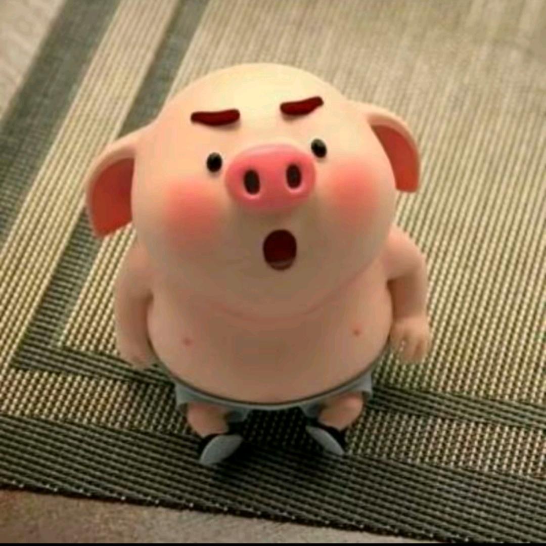 惠成定制