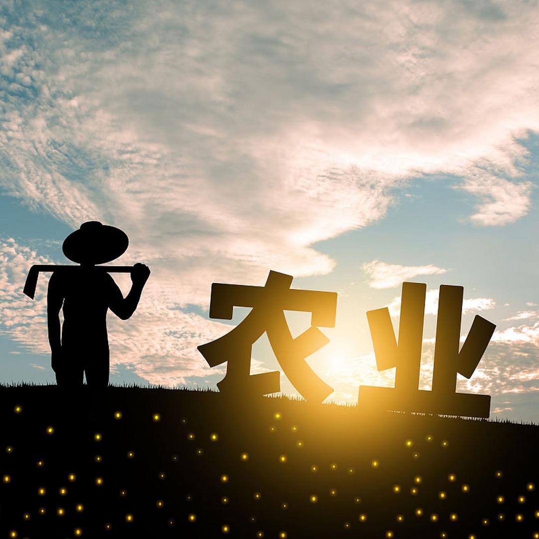 胡巴探农业