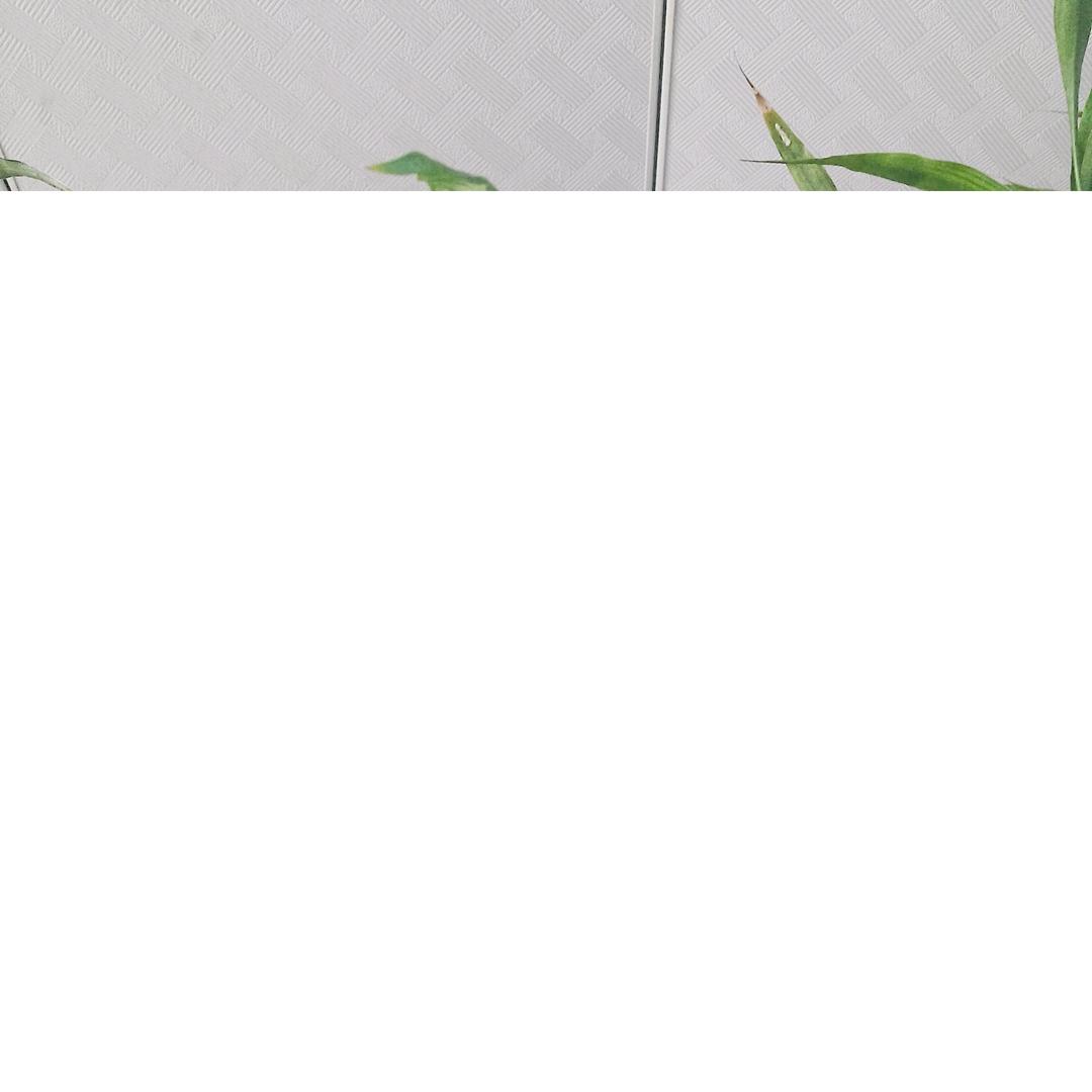 难哄小掌柜