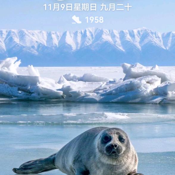 尿得高
