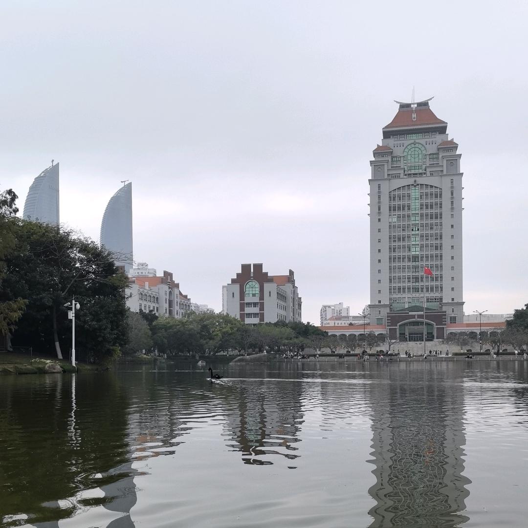 🌈若是月亮还没来
