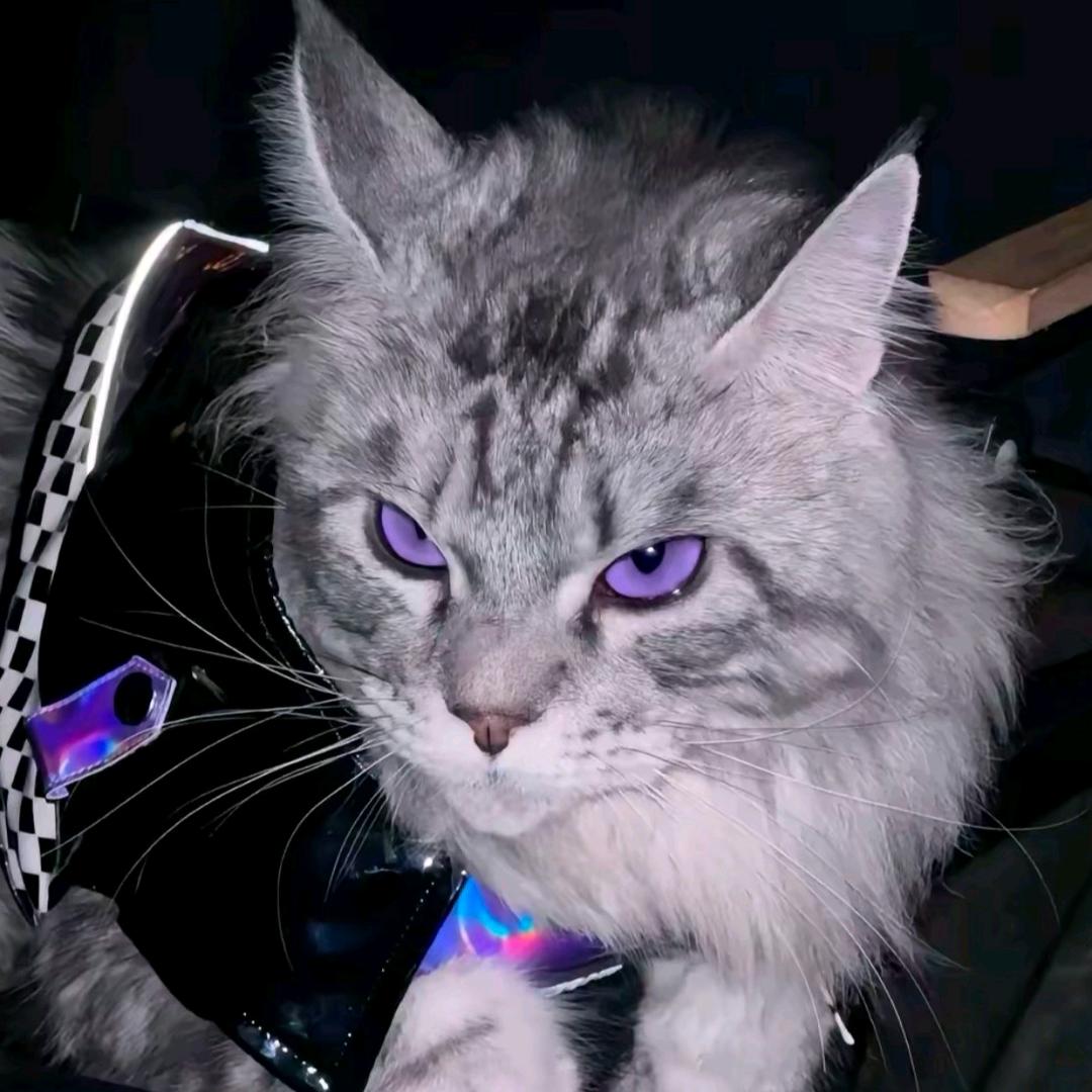 𝑫𝒚𝒍𝒂𝒏.