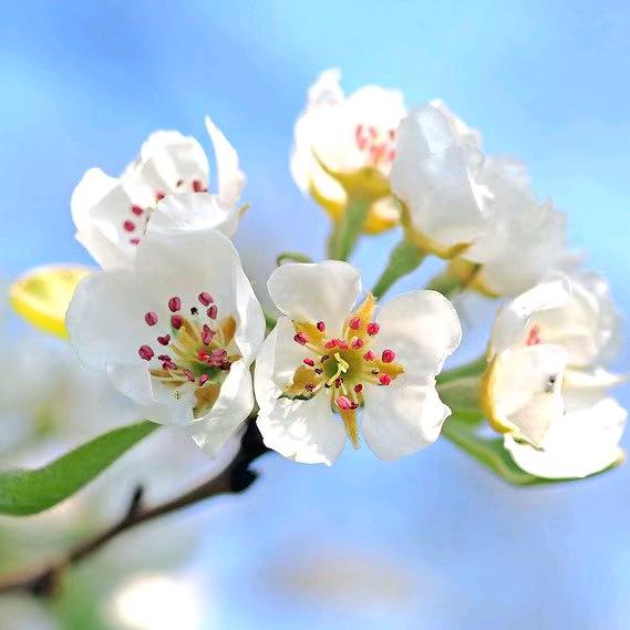 姐ღ᭄是限量版᭄💞࿐