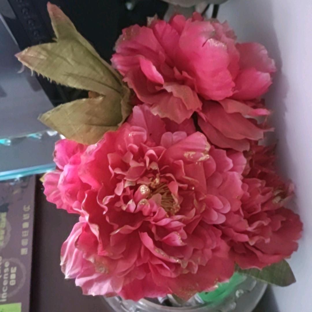 岁月静好60