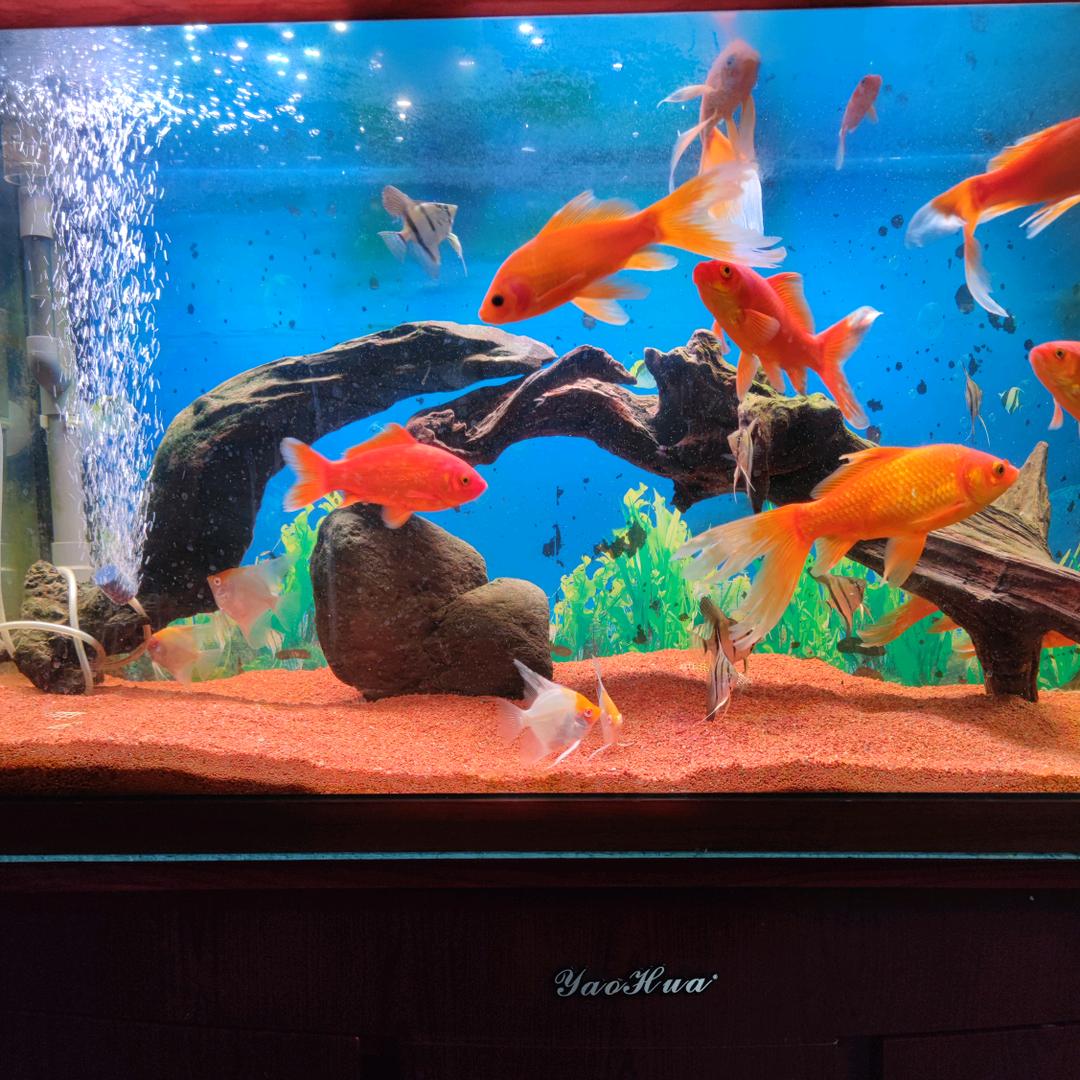 泉水叮咚