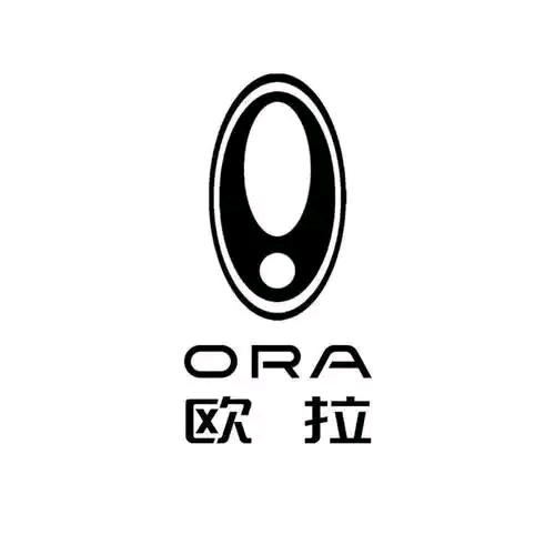 安庆欧拉汽车黎明