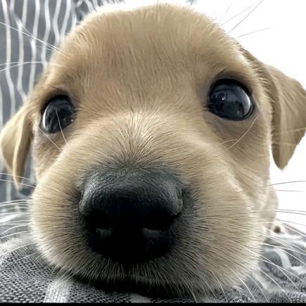 致两千年后的你