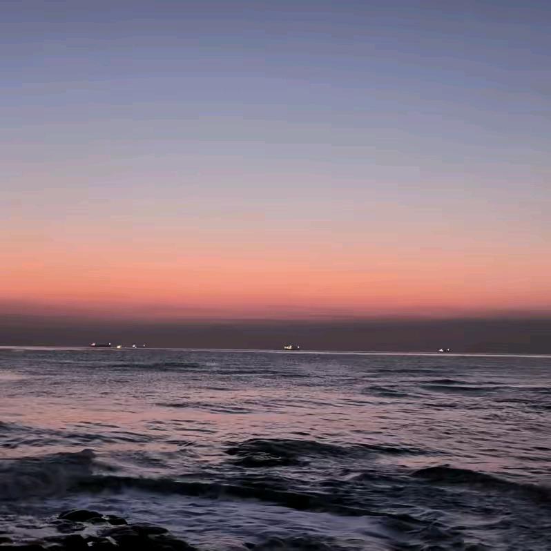 重生之我在上海卖猪蹄