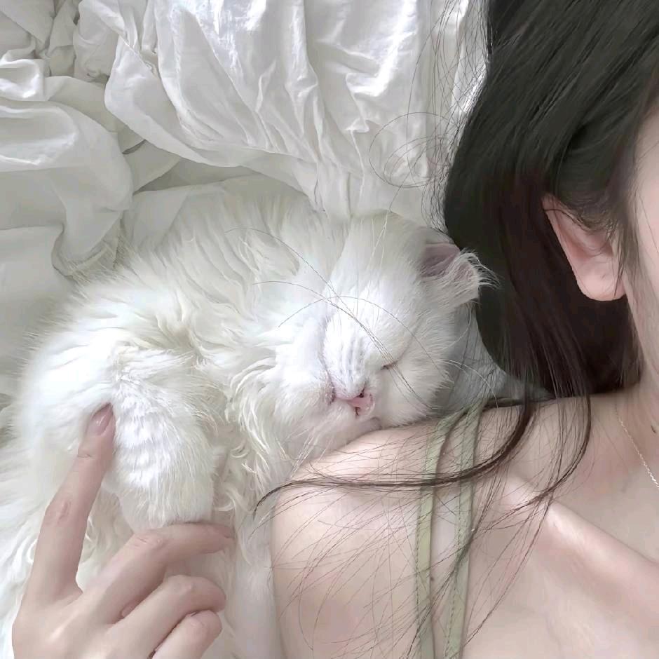 ♥希典民生小娟^O^