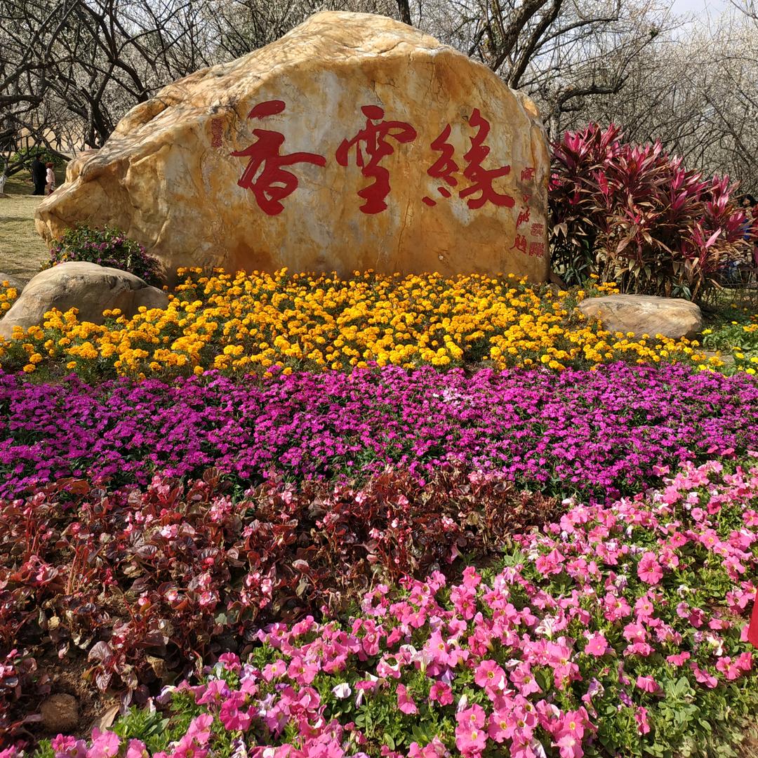 客家龙哥