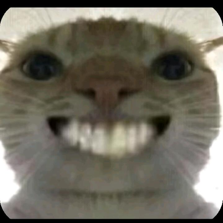 小金鱼。