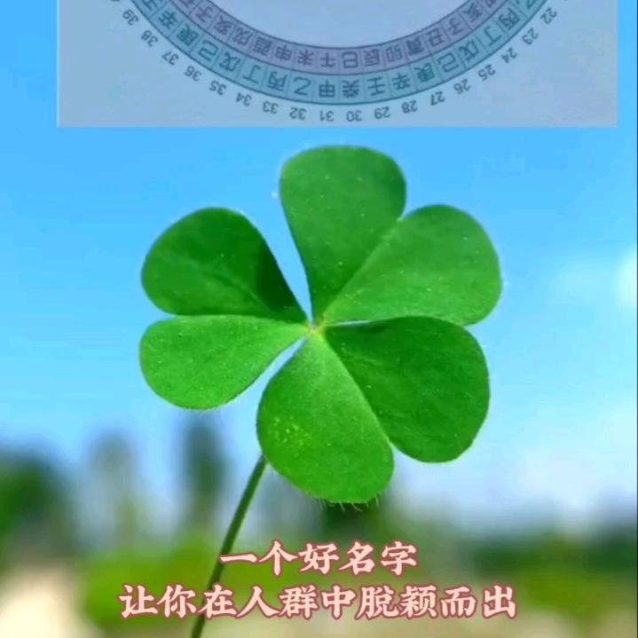 应铨