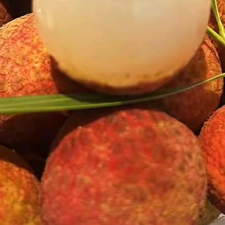 小辣椒🌶️🌶️