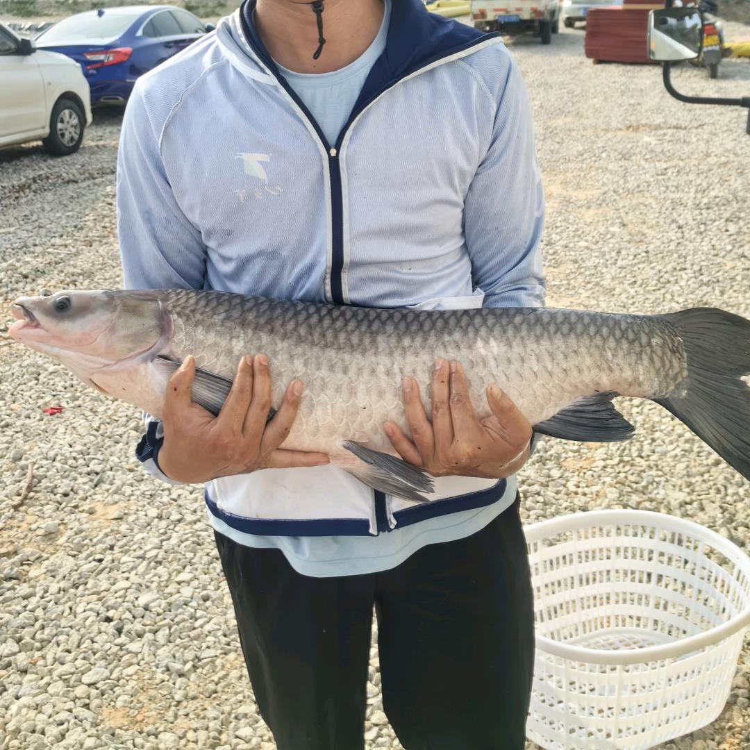 翔安花锦垂钓园