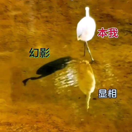 行者·风清杨
