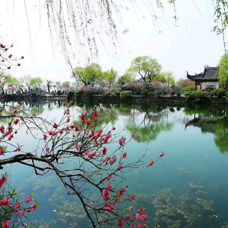 小发哥•村公社