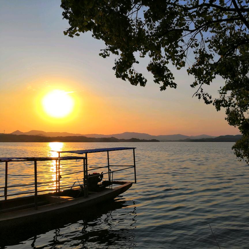 把自己不当外人