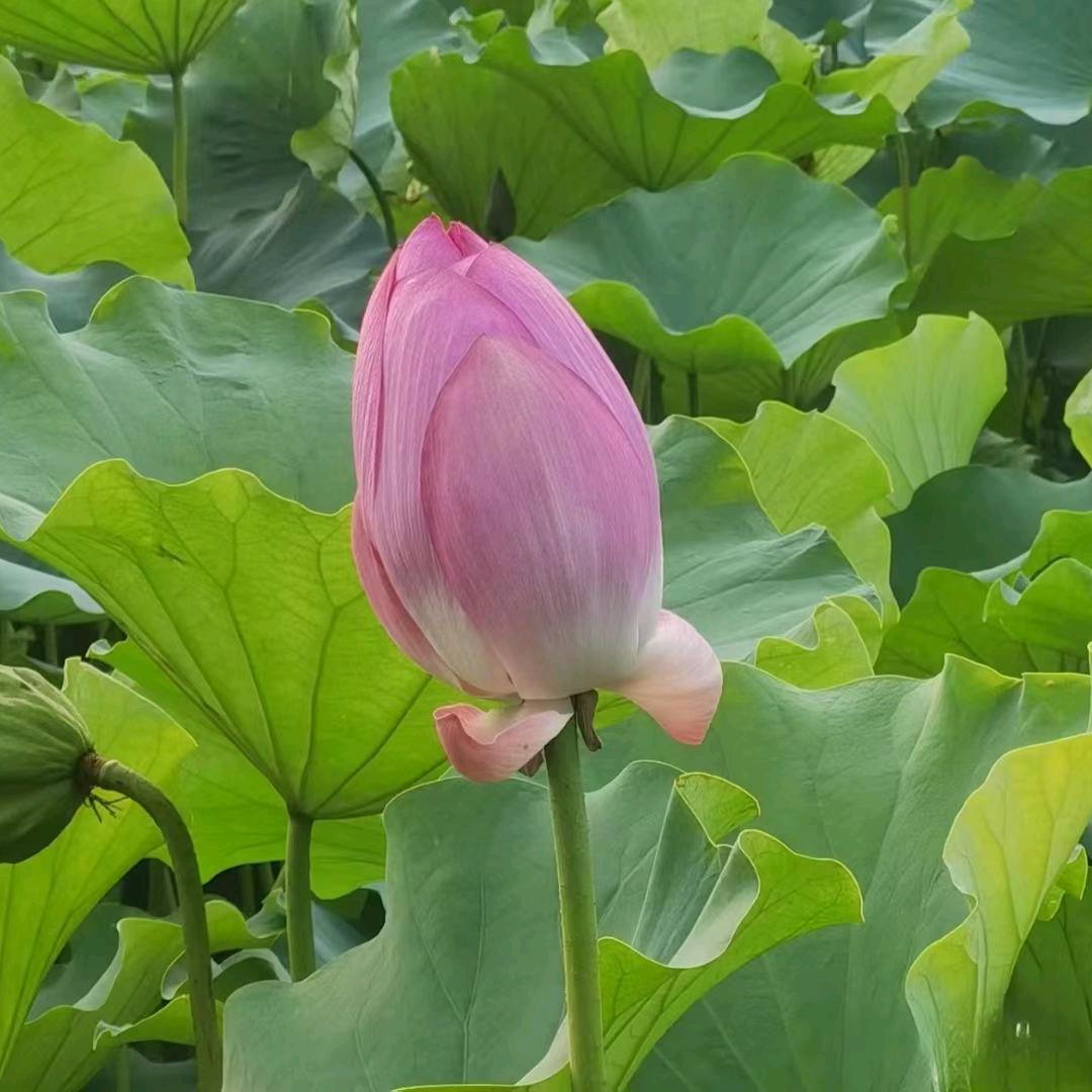 好久不见