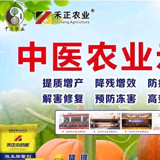 百姓斌哥