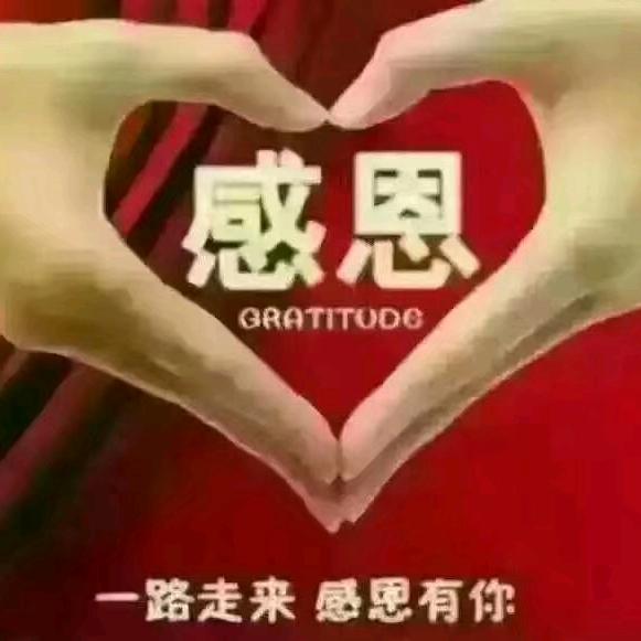 杰    语    芯